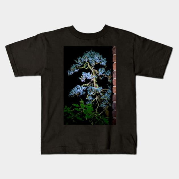 Bonsai Juniperus Meyeri At Night Kids T-Shirt by heidiannemorris